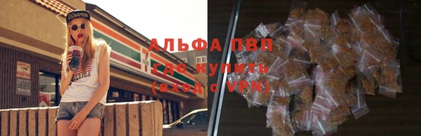 гидра Баксан