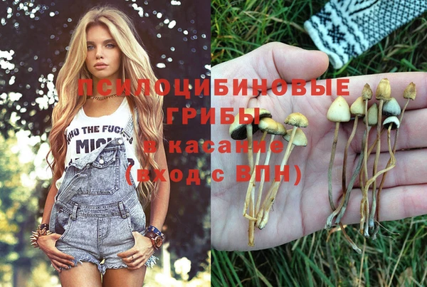 гидра Баксан