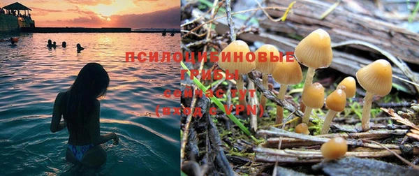 стафф Балабаново