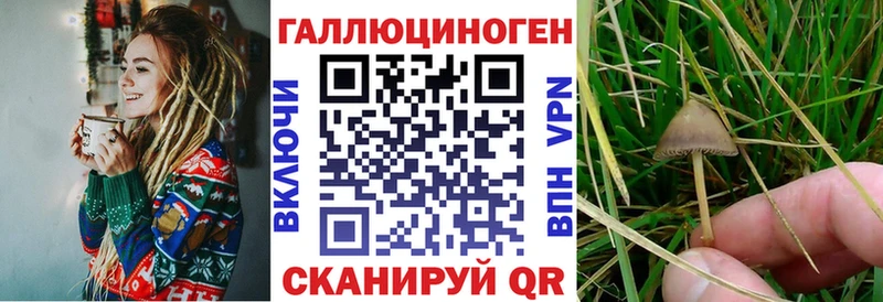 Галлюциногенные грибы GOLDEN TEACHER  купить наркотик  Эртиль 